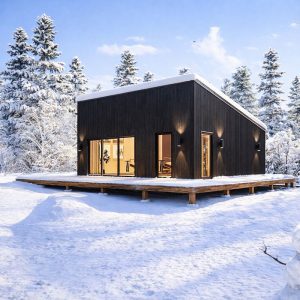 Modern House Cabin Plan, 20'x25' Lean Cottage Architectural Blueprint